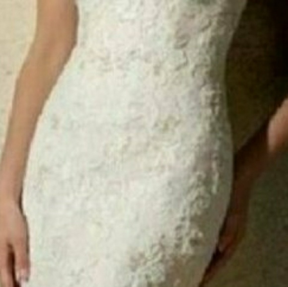 Bling and lace mermaid gown - Picture 3 of 8